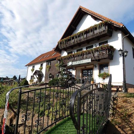 Hotel-Pension Flechsig Hartmannsdorf bei Kirchberg Exteriér fotografie