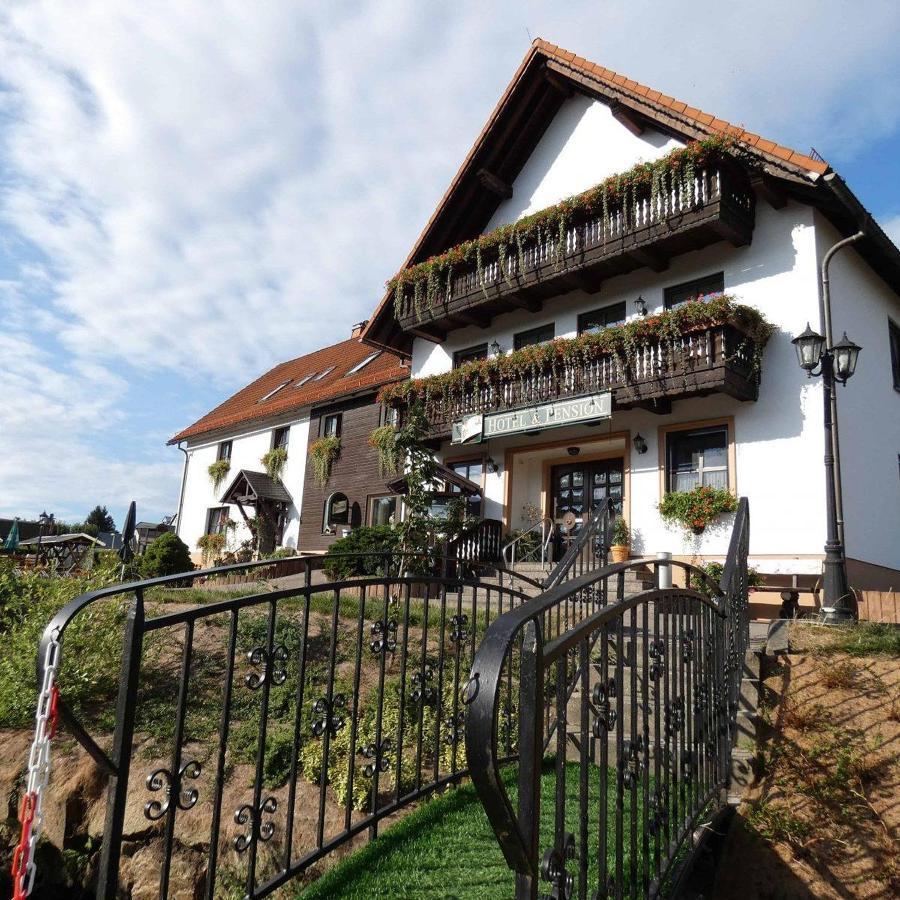 Hotel-Pension Flechsig Hartmannsdorf bei Kirchberg Exteriér fotografie